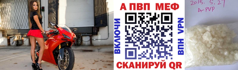 Альфа ПВП СК Петрозаводск