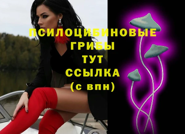 эйфоретик Михайлов